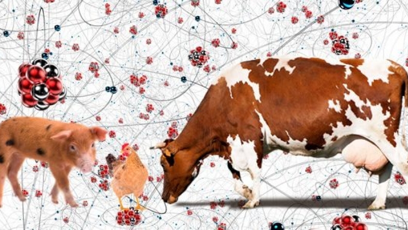 Empresas de nutrición animal buscan abrir mercados externos a través de I-COMEX La Pampa