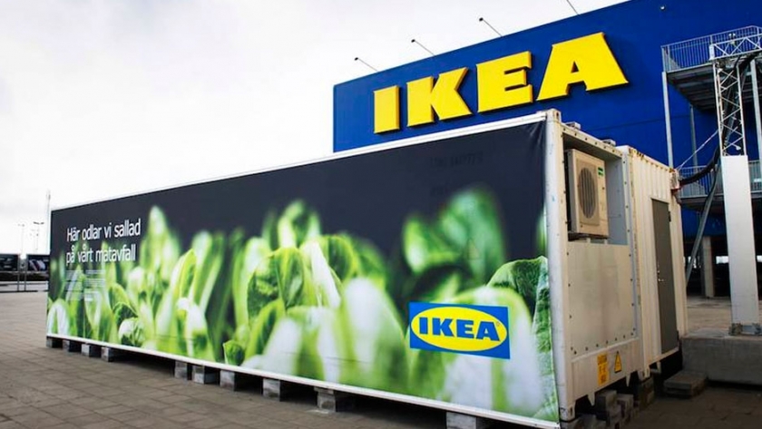 Ikea: huertas hidropónicas en containers