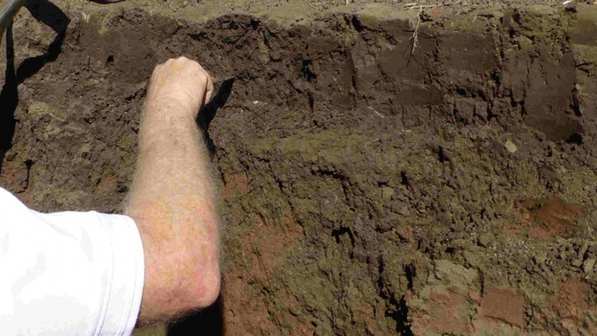 Presentan una guía online para caracterizar los suelos en producción