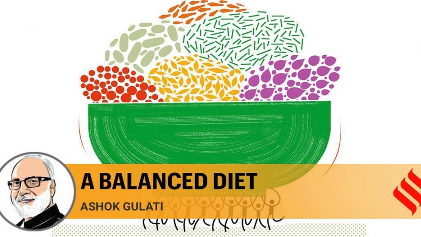 La política de diversificación de cultivos debe abordar los desafíos nutricionales, sincronizar la agricultura con las demandas ambientales
