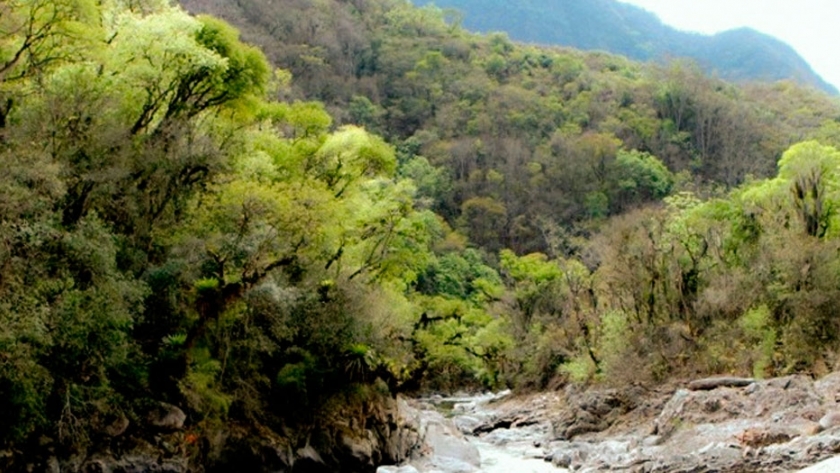 Parque Nacional Baritú