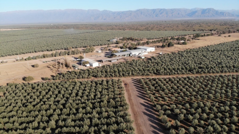 Pyme riojana concreta primera exportación de aceite de oliva al reino de Bután
