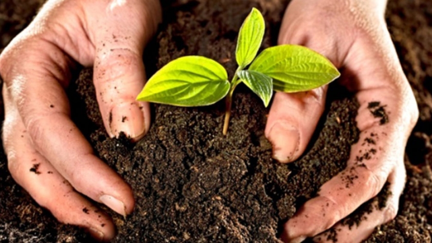 El MDA lanzó el programa "Promoción de la Agroecología"