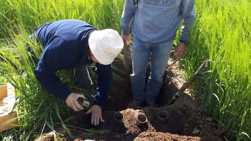 ¿Puede haber cambios en la materia orgánica con diferentes uso del suelo?