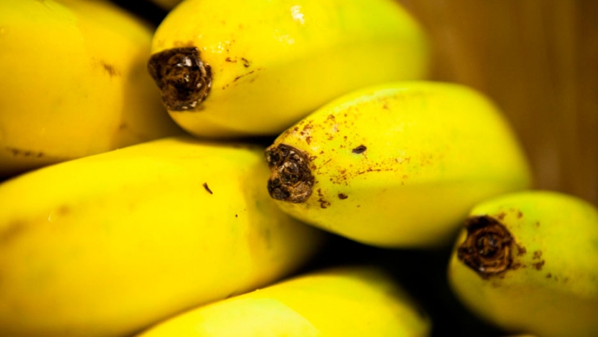 Formosa: Productores de banana deben inscribirse en el Renspa
