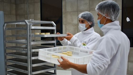 <Comenzó a operar la primera fábrica regional que produce quesos 100% a base de plantas