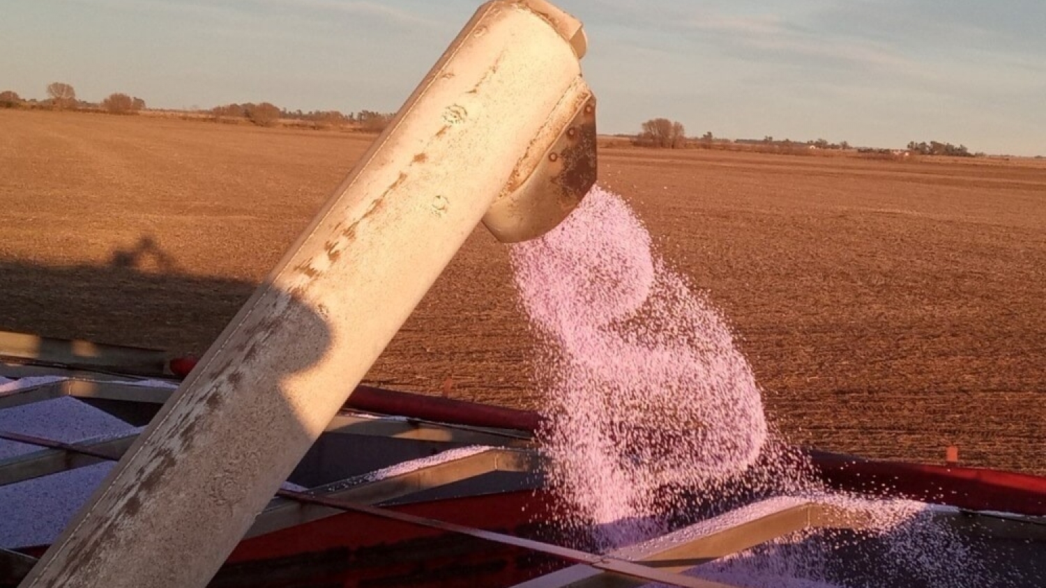 Importaciones de fertilizantes se disparan y anticipan un 2026 con mayor inversión en el agro