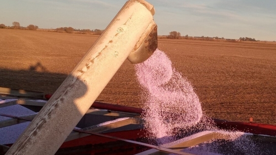 Importaciones de fertilizantes se disparan y anticipan un 2026 con mayor inversión en el agro