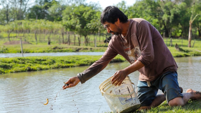 La remoción de sedimentos como estrategia para garantizar la salud y mantener los niveles de oxígeno en horas críticas del cultivo