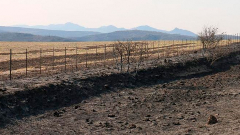 Diputados aprobó la ley que prohíbe la venta de campos incendiados