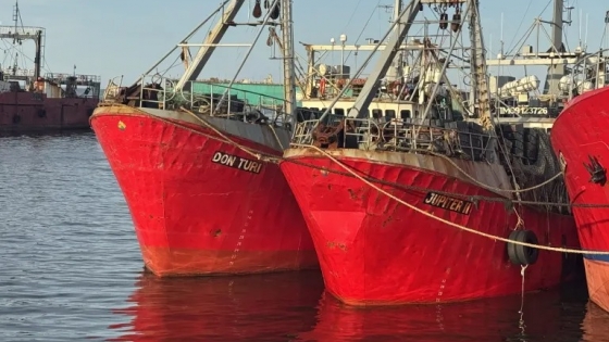 Fresqueros anticiparon que no salen a pescar langostino en aguas nacionales