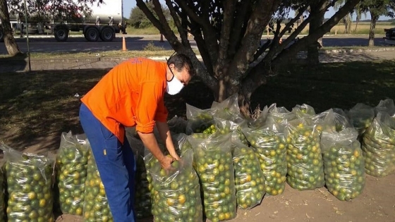 Inspectores decomisaron más de 2 mil kilos de cítricos en el puesto El Naranjo