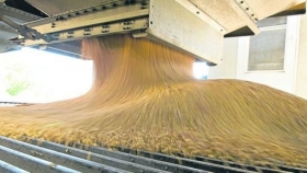 En la 2021/22, las exportaciones de trigo podrían alcanzar un récord de US$ 3.180