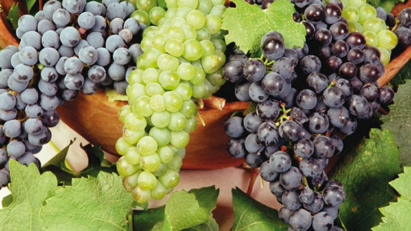 Prórroga para inscripción de productores de uva en fresco de Mendoza y San Juan