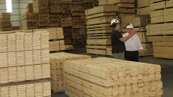 Madera correntina en Mercedes: potencian la arquitectura sustentable