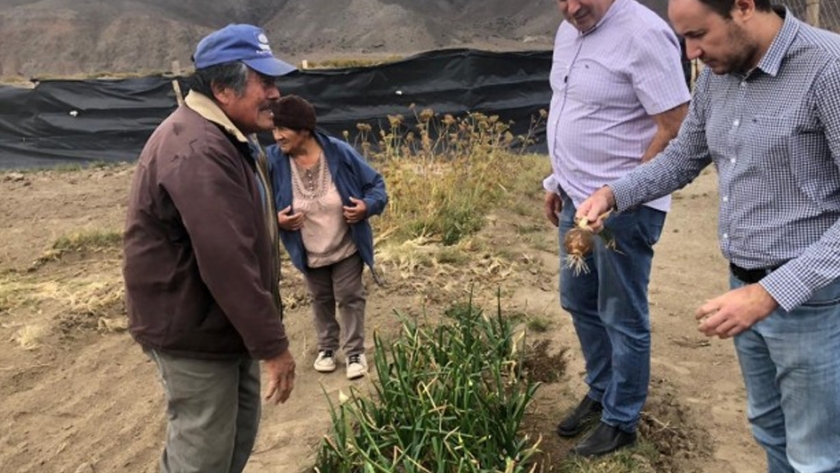 El Ministerio de Agricultura, Ganadería, Industria y Comercio acompaña a productores de la Meseta Central en proyectos productivos