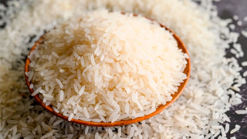 Reemplazan agroquímicos por plantas acuáticas en producción de arroz