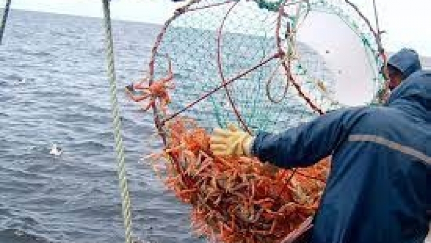 Se realizó la primera supervisión anual de la certificación de la pesquería de centolla