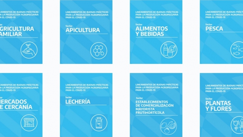 Agricultura cuenta con 15 protocolos de buenas prácticas frente al COVID-19