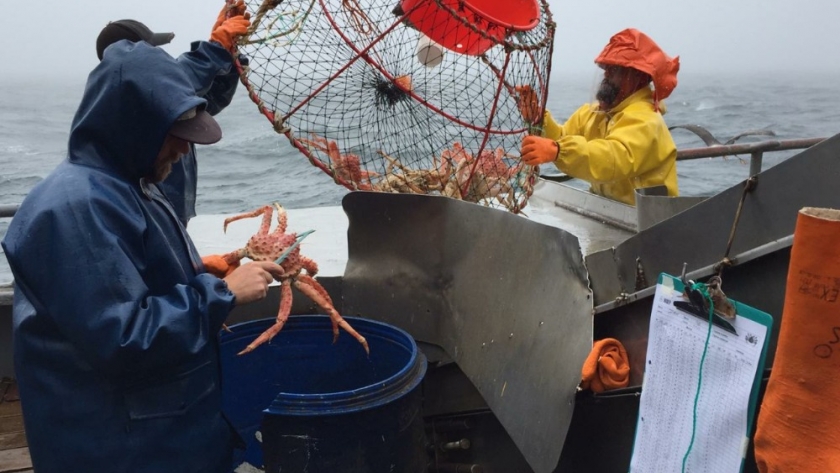 Centolla. Evalúan área central con buques de la flota comercial