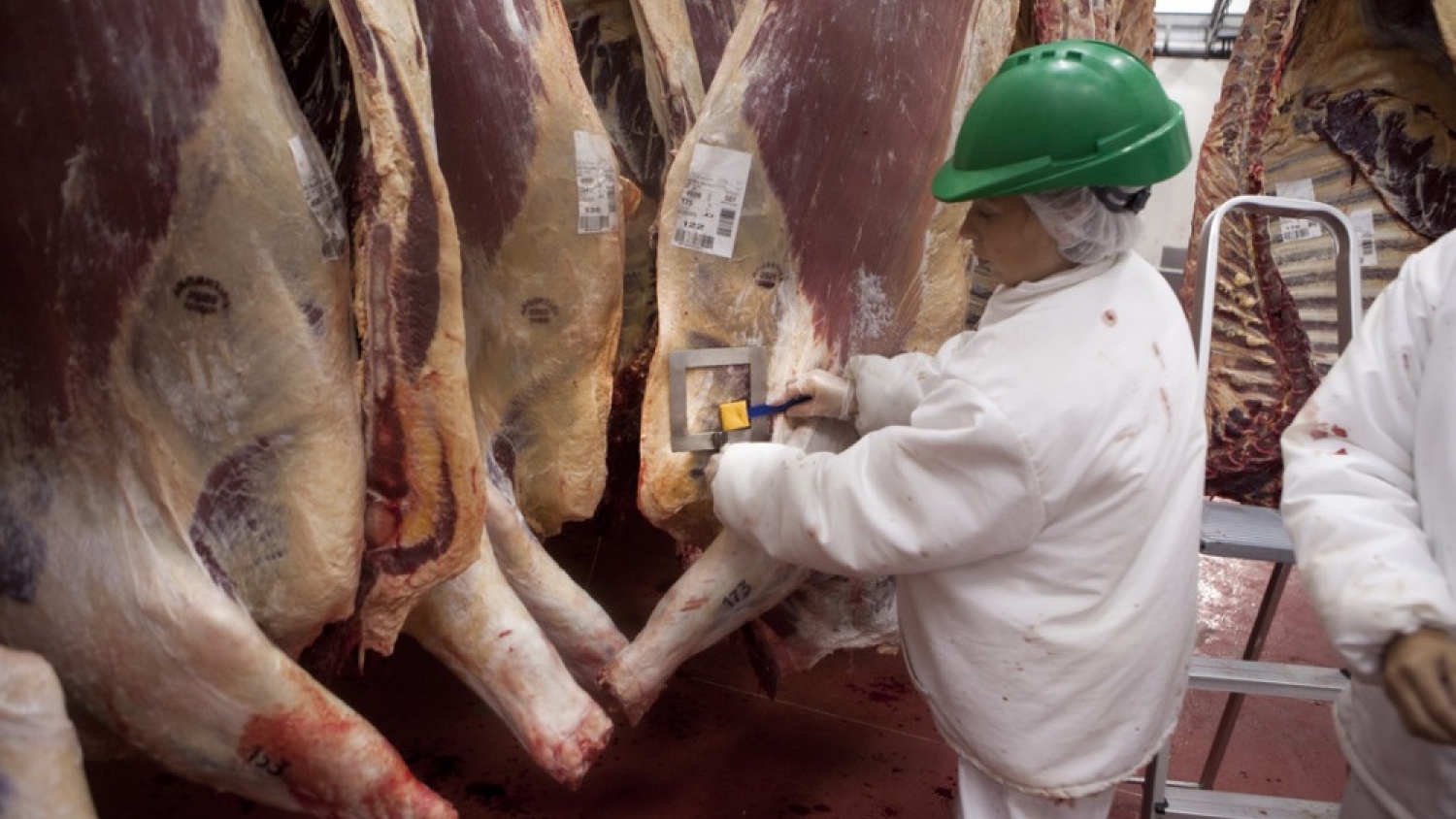 Menos carne vacuna en las mesas: la caída de la faena redujo el consumo