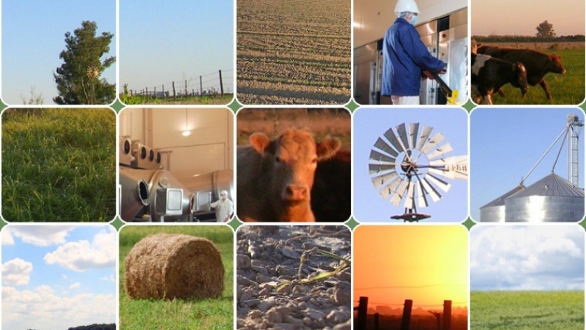 Fondo Rotatorio: Acuerdan 190 millones para la actividad productiva de Cooperativas del sector agropecuario