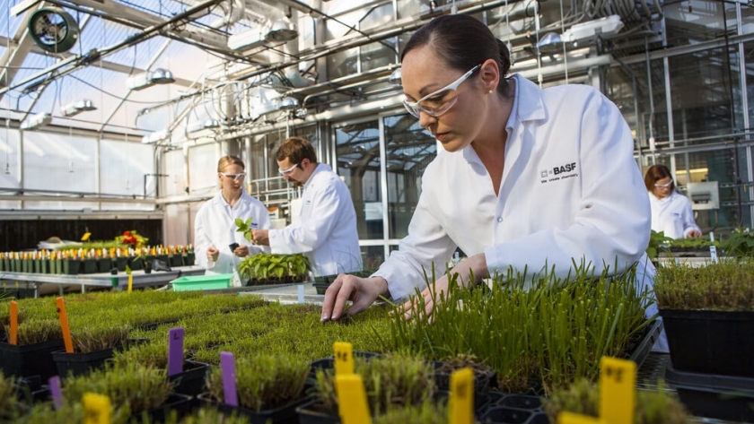 BASF reafirma su compromiso con la sustentabilidad