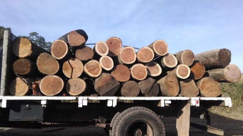 Administración eficiente de guías forestales en Jujuy