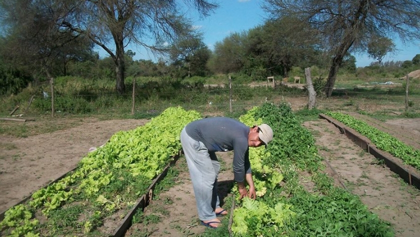 Promueven la aplicación de las Buenas Prácticas Agrícolas para la producción de alimentos en municipios de Formosa