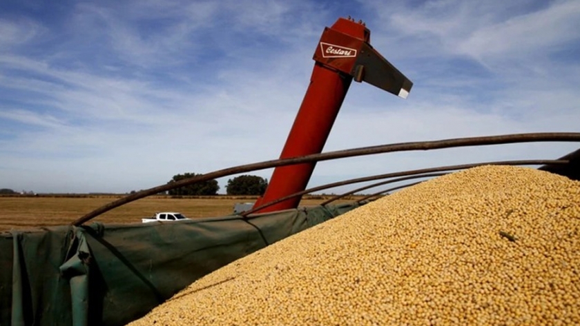 Inscripción de empresas que quieran exportar cebada, soja, maíz y sorgo a China