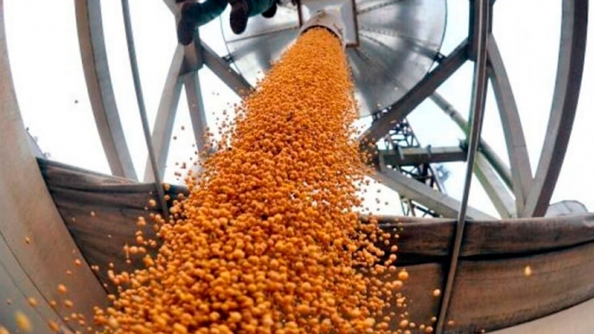 Entre enero y febrero 2020, cayó 20,3% el ingreso de dólares por exportaciones del campo