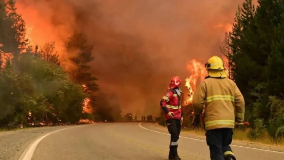 Incendios en el sur: el Gobierno declarará la Emergencia Ígnea y activará fondos extraordinarios