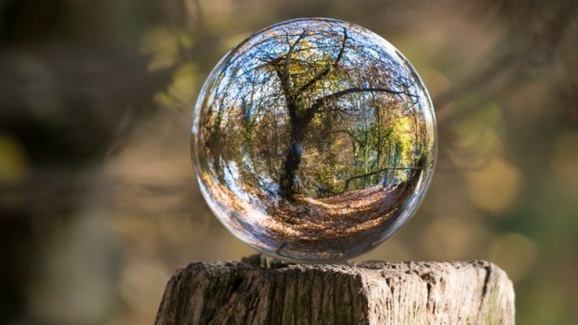 CONFIAR expone las oportunidades para el desarrollo de la bioeconomía basado en la gestión forestal y la cadena de valor foresto-industrial