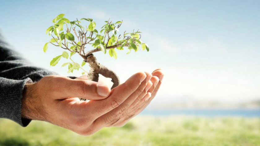 Municipios y Comunas pueden sumarse al Programa "Plantar para el futuro"