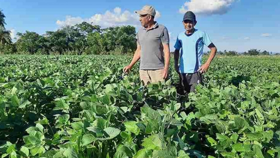 Pequeños productores desarrollan agricultura sustentable con biotecnología