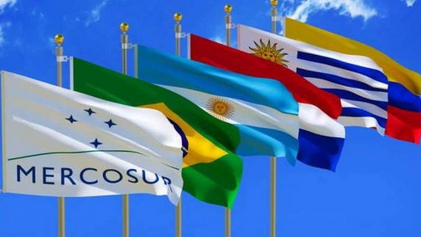 El Gobierno argentino y el Mercosur