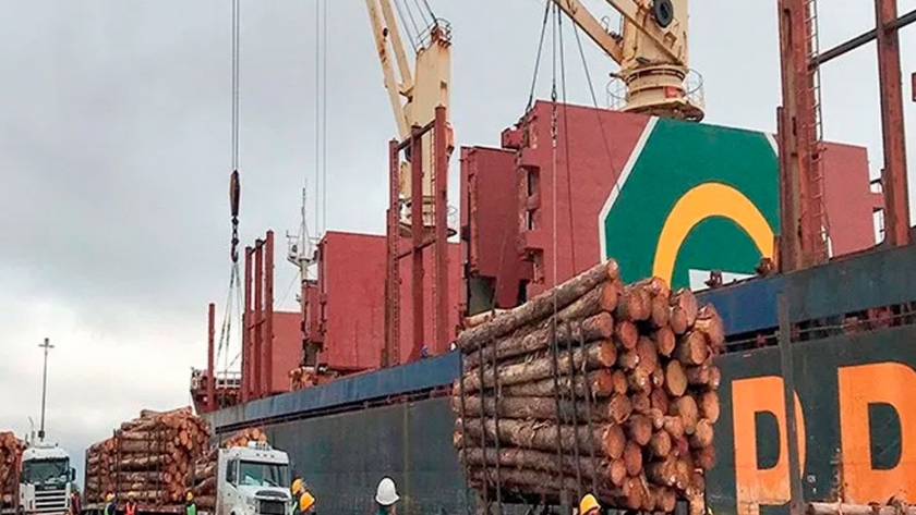 Polémica en el sector forestal argentino por las exportaciones de rollos de madera a China y las dificultades de abastecimiento a los aserraderos PyMEs de la Mesopotamia