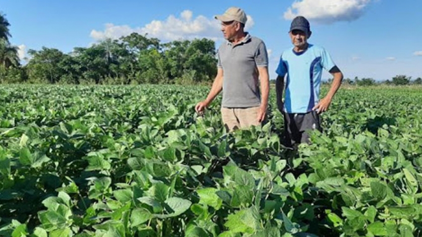 Productores de Caazapa aplican agricultura sustentable con uso de biotecnologia