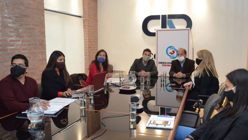 Queremos que el Consejo Económico y Social sea un ámbito de participación y no solo de consulta