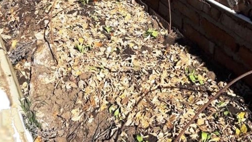 Cultivos en cama elevada (Hugelkultur)