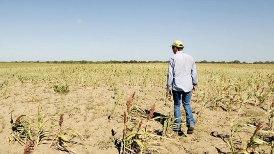 <Nación homologó la emergencia agropecuaria en Santa Fe y Mendoza
