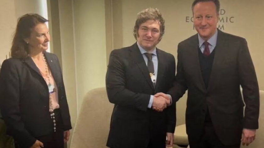 Reunión de la Canciller Diana Mondino con su par del Reino Unido, David Cameron