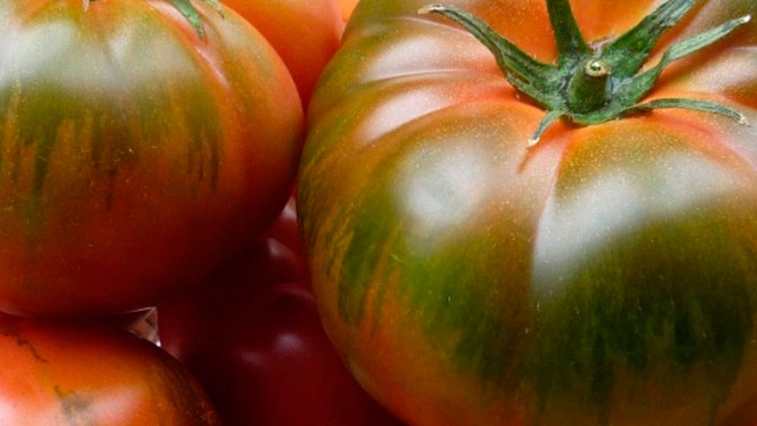 Producen un tomate que elimina el colesterol malo