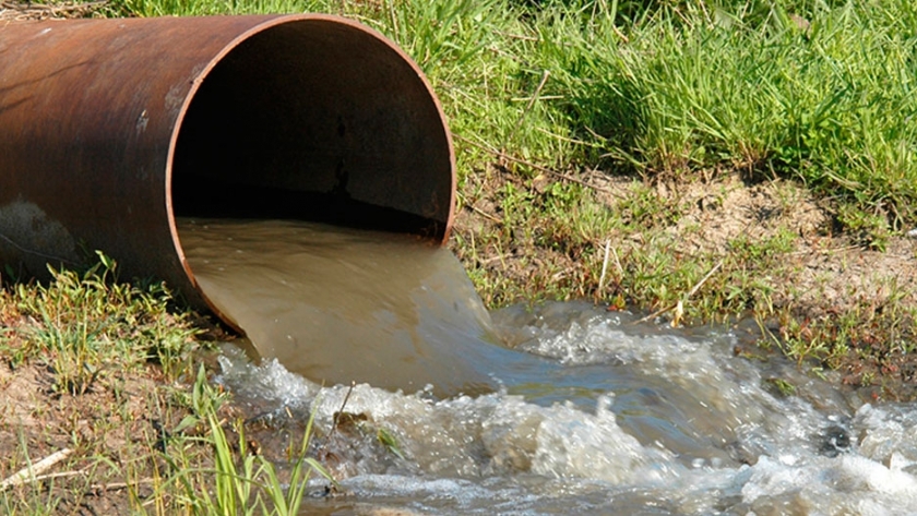 Efluentes industriales, identificaron una bacteria que puede eliminar el cromo