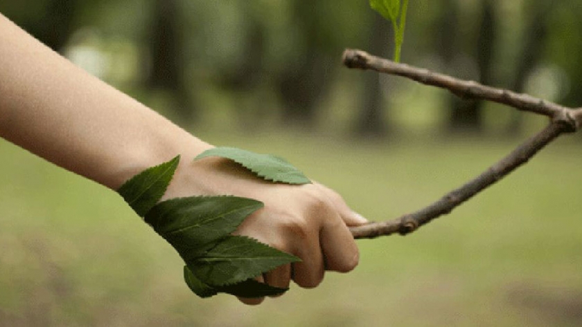 Del 5 al 12 de junio se celebrará la Semana del Ambiente