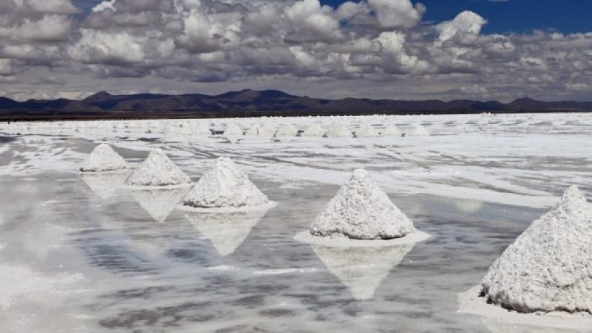 Posco Argentina invertirá $800 millones en Salar Hombre Muerto
