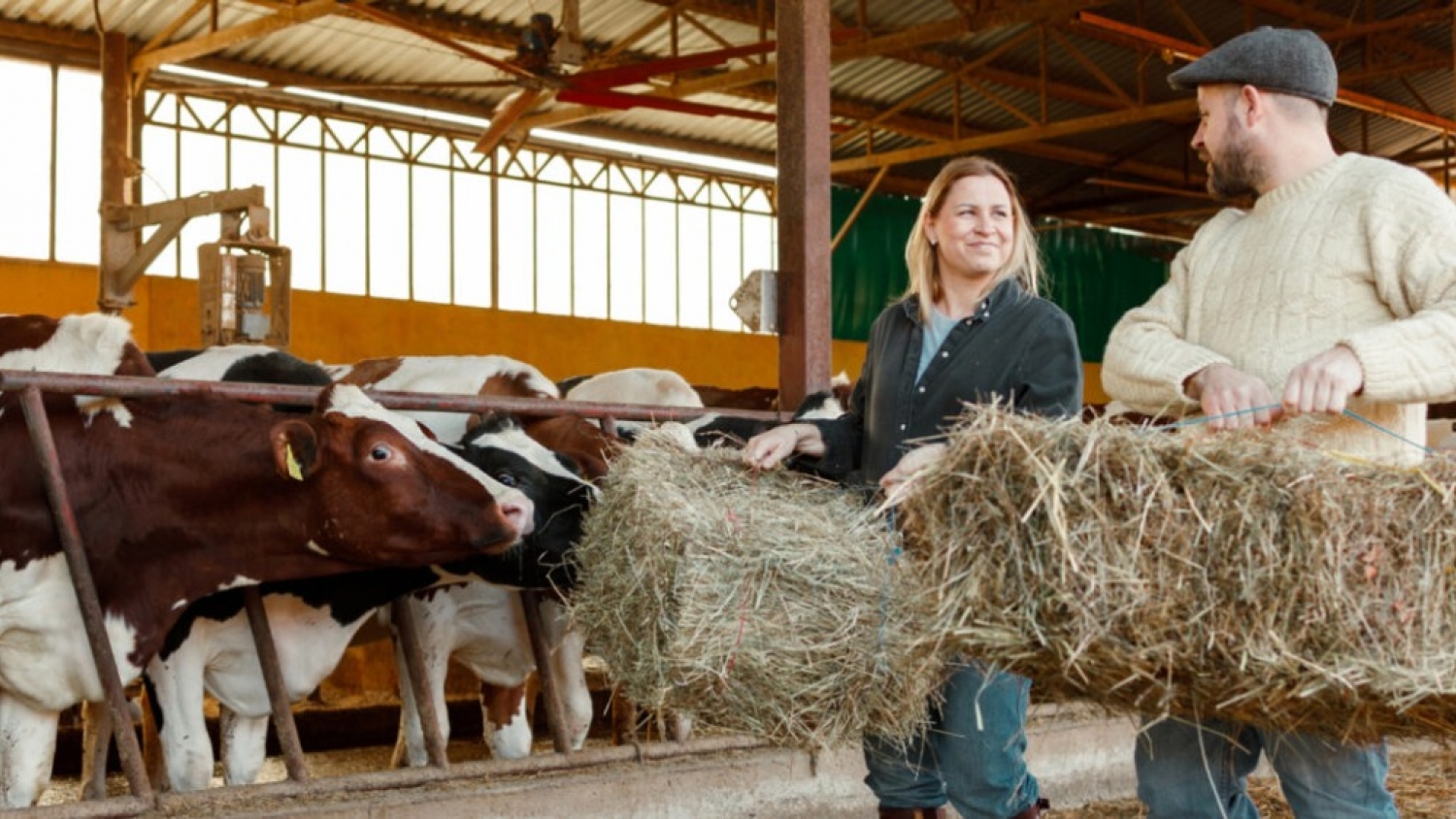 Elanco Completes AHV Acquisition to Expand Dairy Health Solutions