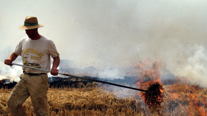 Se reunió nuevamente el Comité de Emergencia Ambiental por los incendios en el delta del Paraná