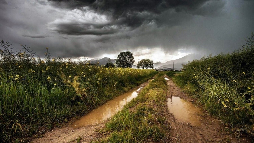 Clima extremo cierra 2024 en las principales áreas agrícolas del país