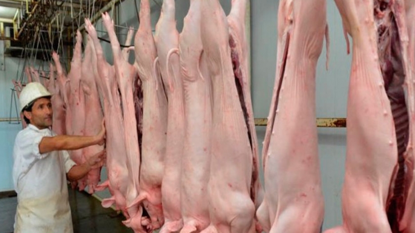 En junio se exportaron más 5 mil toneladas de carne porcina 